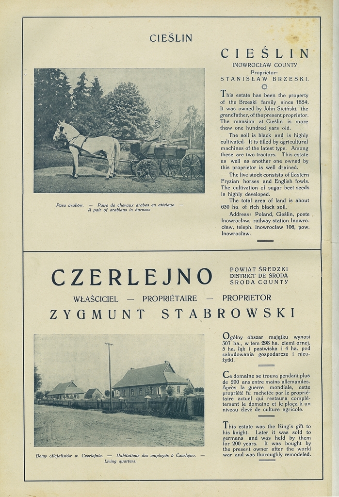 028 czerlejno.jpg